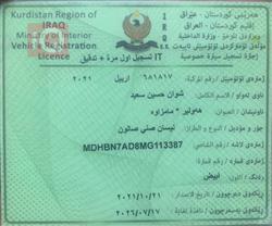 نيسان صني
